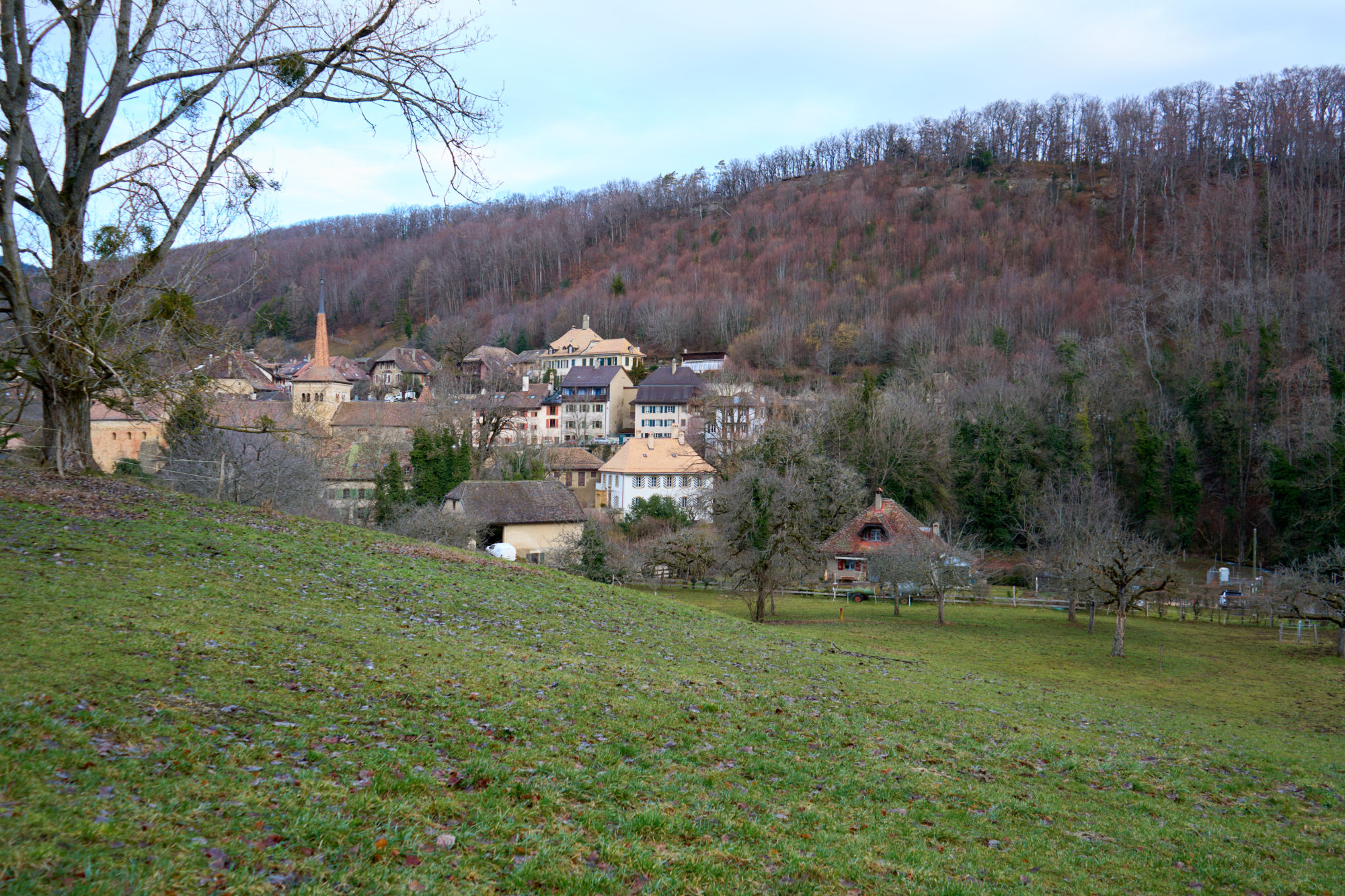 Romainmôtier (2)
