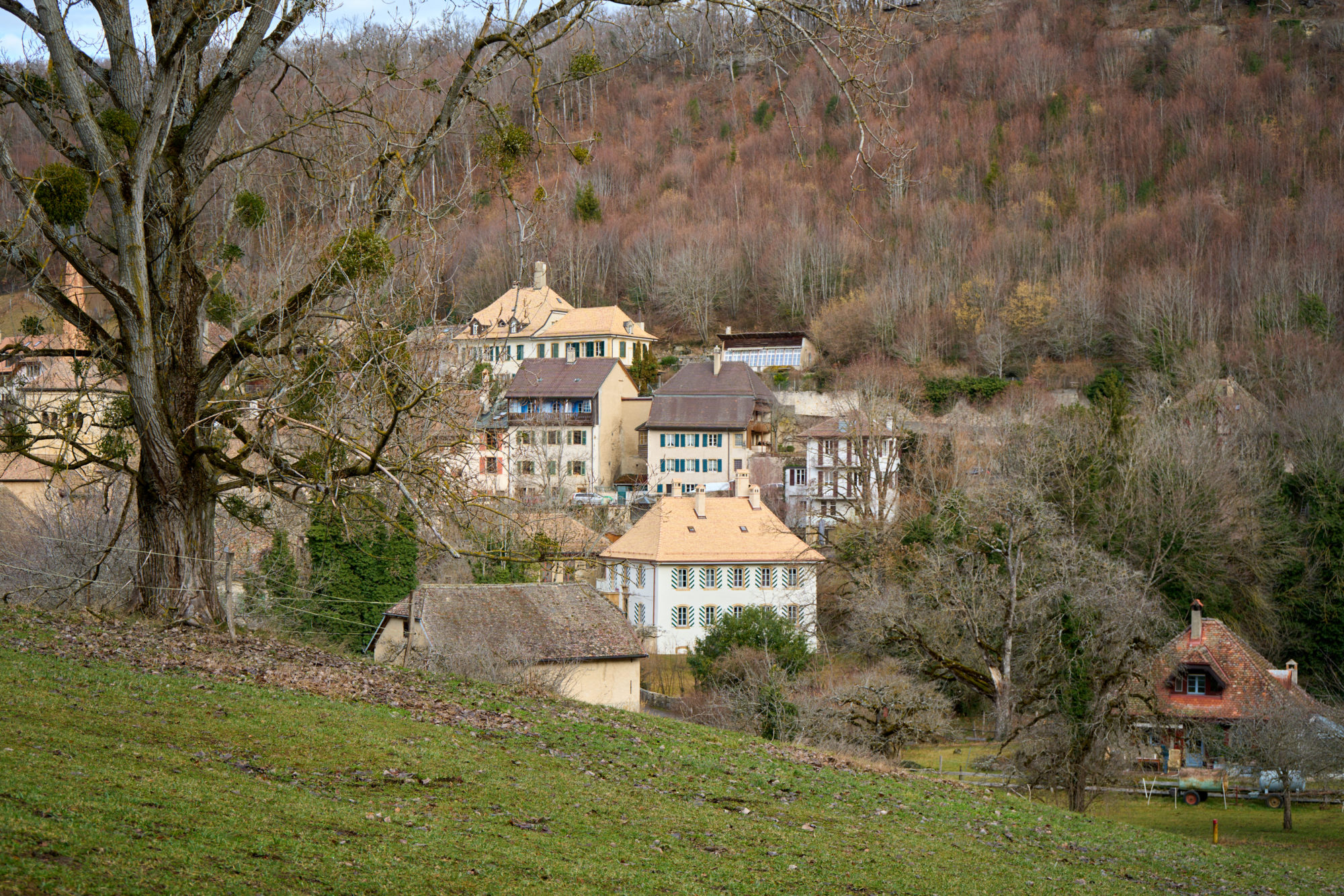 Romainmôtier (3)